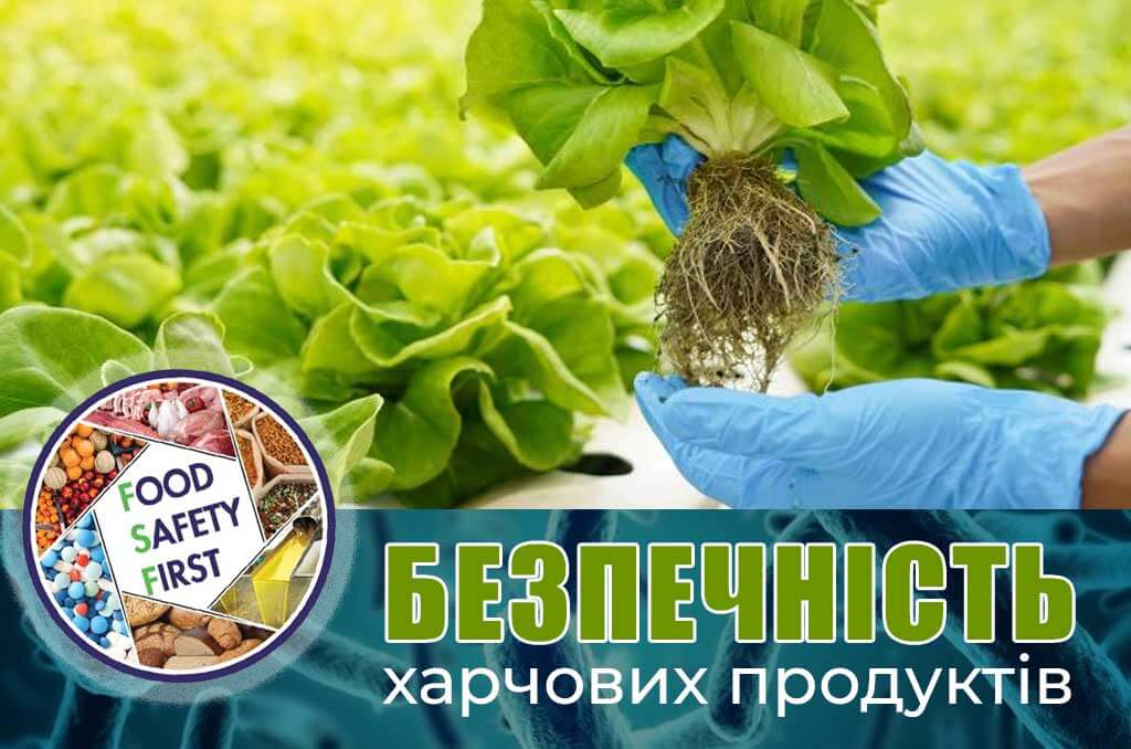 Ви зараз переглядаєте Онлайн-конкурс «Безпечність харчових продуктів»