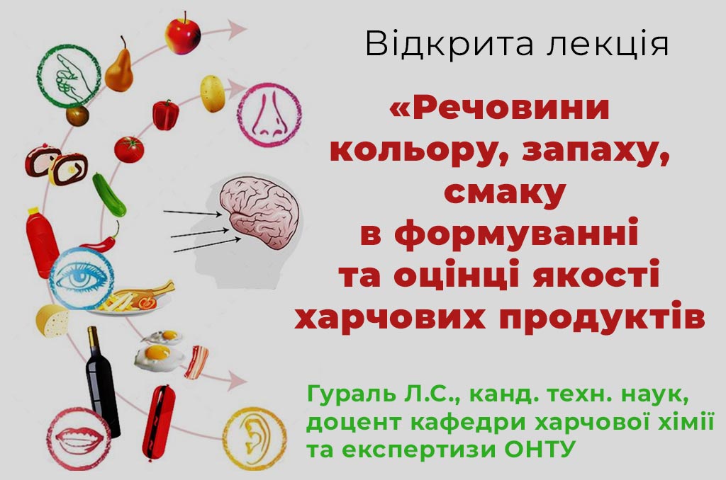 Ви зараз переглядаєте Відкрита лекція від кафедри харчової хімії та експертизи